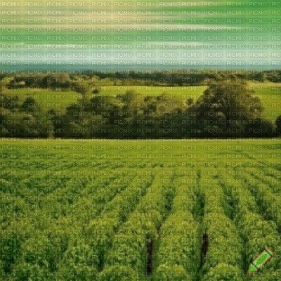 Green Fields and Sky Background - ücretsiz png