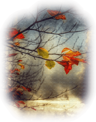 loly33 paysage automne - png gratis