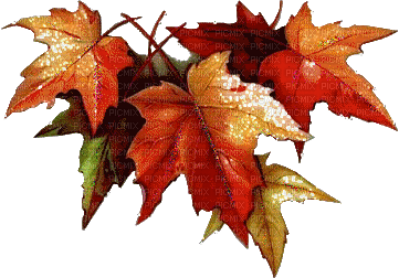 autumn automne herbst - Besplatni animirani GIF