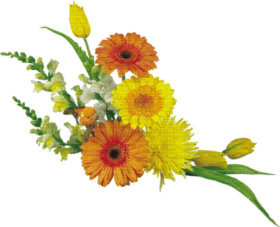 flowers katrin - nemokama png
