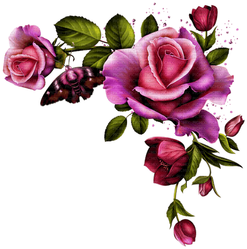 Roses.Pink.Purple - PNG gratuit