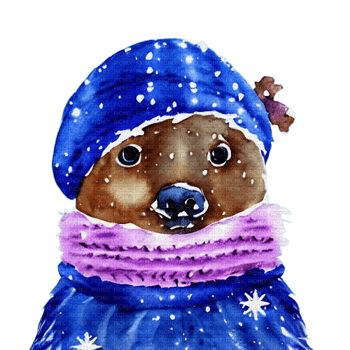 kikkapink watercolor cute animal winter - png ฟรี
