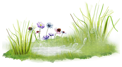 Kaz_Creations Flowers Deco Flower Colours Garden Deco - 無料png