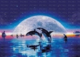 orque - PNG gratuit