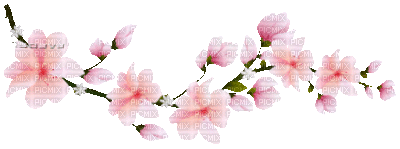 soave deco spring flowers branch animated  pink - GIF animé gratuit