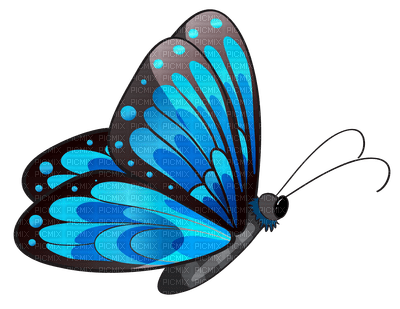 Kaz_Creations Butterflies Butterfly - Free PNG