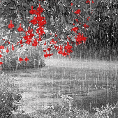 soave background animated tree flowers park rain - Nemokamas animacinis gif