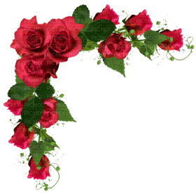Kaz_Creations Deco Wedding Flowers - безплатен png