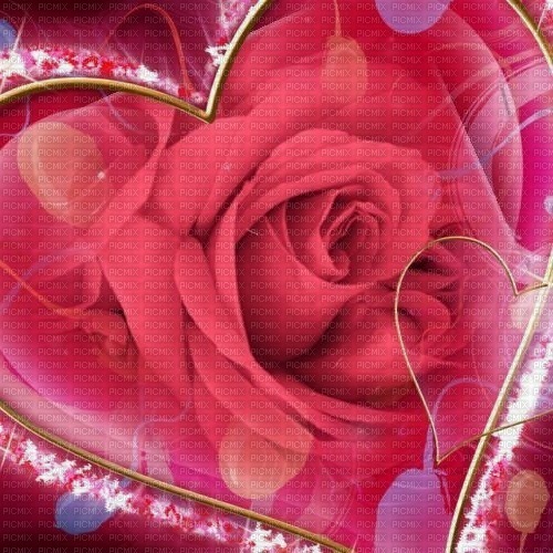 valentine rose fond background - png ฟรี