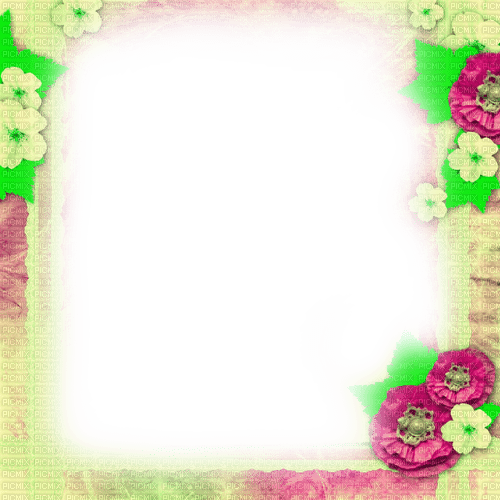 Pink/Green Flowers Frame - By KittyKatLuv65 - bezmaksas png