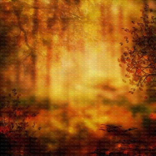 bg-höst------background-autumn - png ฟรี