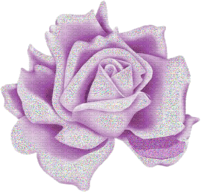 Rose lilas - GIF animado grátis