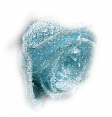 rose bleu.Cheyenne63 - png gratis