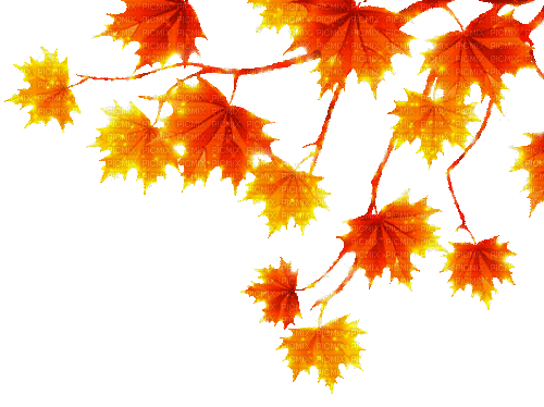 autumn branch by nataliplus - GIF animé gratuit
