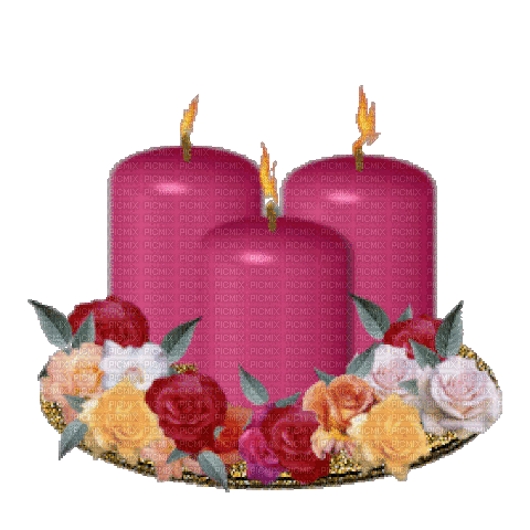Kerzen, Pink, Rosen - Gratis animerad GIF