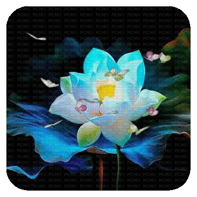 kwiat - Безплатен анимиран GIF