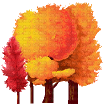 Fall Trees - Besplatni animirani GIF