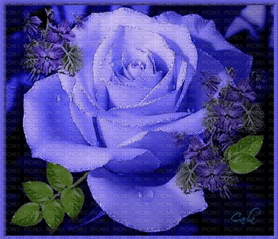 Rosa lilás gif - GIF animé gratuit