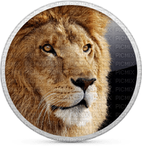 Kaz_Creations Animals Lion - Free PNG