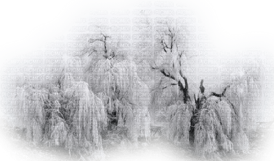 cecily-arbres neige givres - nemokama png