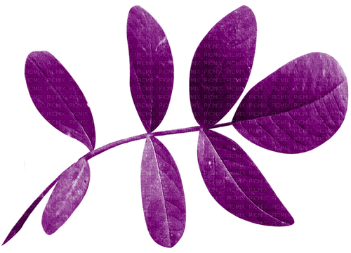 Leaf.Purple - ücretsiz png