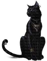 cats bp - zadarmo png