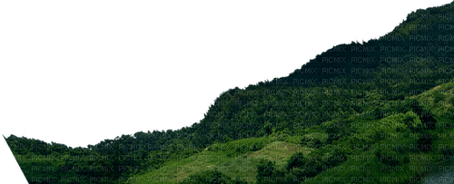 lawn with trees 2 - png gratis