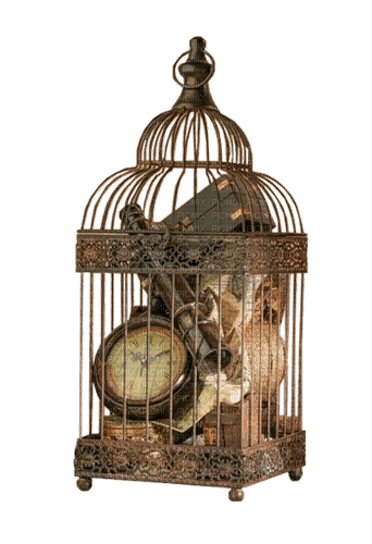 kikkapink steampunk cage vintage deco - PNG gratuit