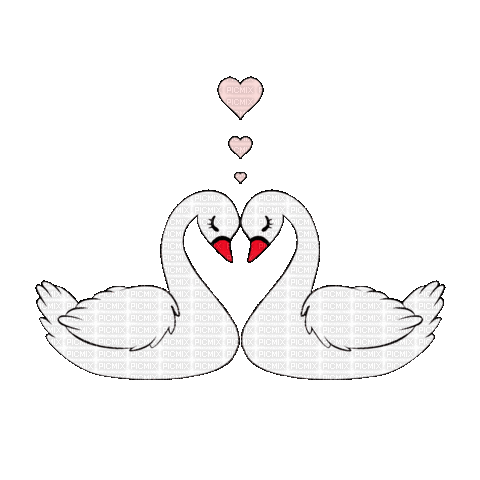 swans - Darmowy animowany GIF