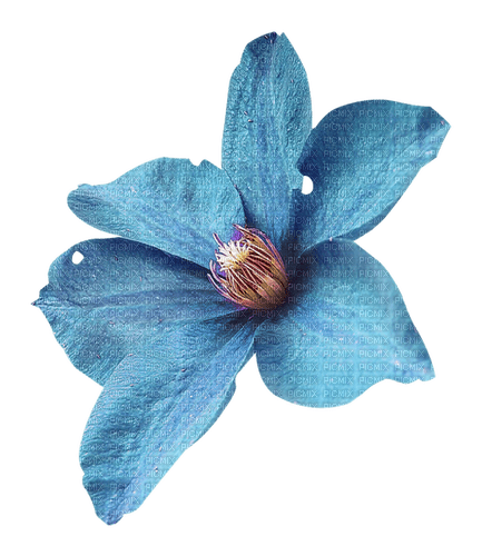 deco blue flower - δωρεάν png