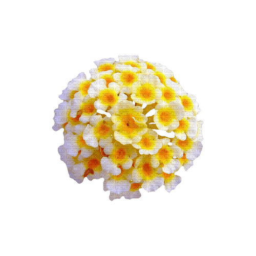 kikkapink deco scrap yellow white flowers - 免费PNG