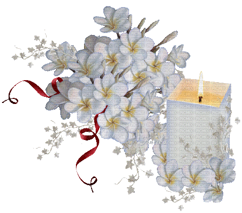 Kerze, Blumen, Weiss - Безплатен анимиран GIF