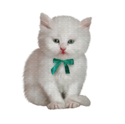 Chat - Free PNG
