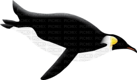 Kaz_Creations Penguin - 免费PNG