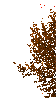 Autumn.Automne.Branch.gif.Victoriabea - Ücretsiz animasyonlu GIF