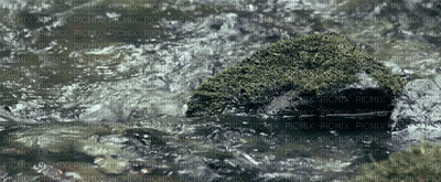 ani-vatten-sten - Darmowy animowany GIF