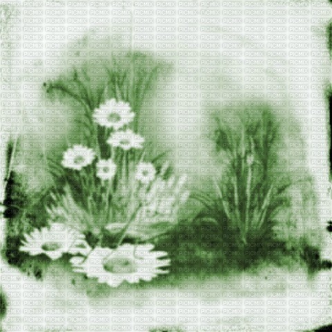 flowers fleurs - фрее пнг