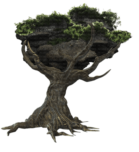 Arbre Fantasy - Fantasy Tree - ingyenes png