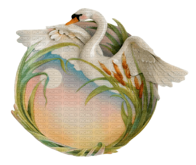 Kaz_Creations Deco Swans Swan  Colours - besplatni png
