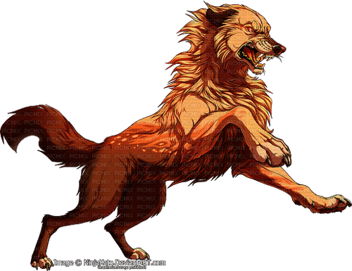 loup rouge - darmowe png
