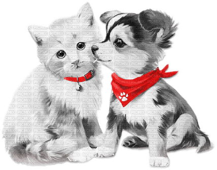 soave deco valentine animals cat dog friends - kostenlos png