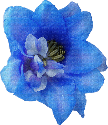 Kaz_Creations Deco Flowers Flower Colours - nemokama png