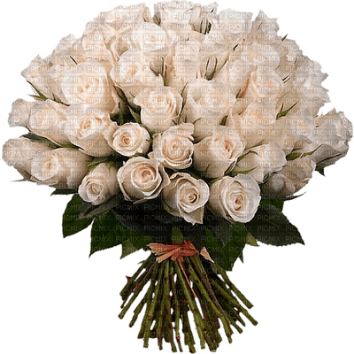 bouquet de fleur.Cheyenne63 - nemokama png