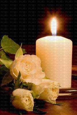 Candle Flower - png gratis
