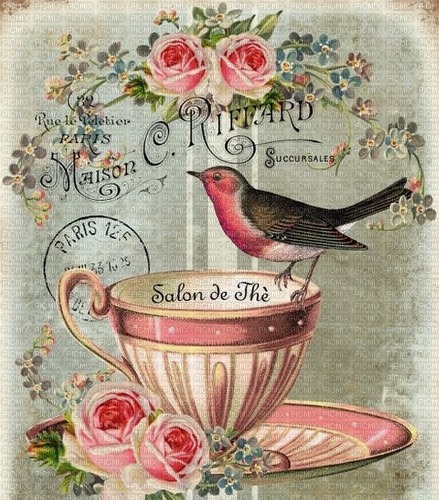 victorian pink  cup rose bird vintage - 免费PNG