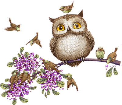 Kaz_Creations Owls Owl - kostenlos png