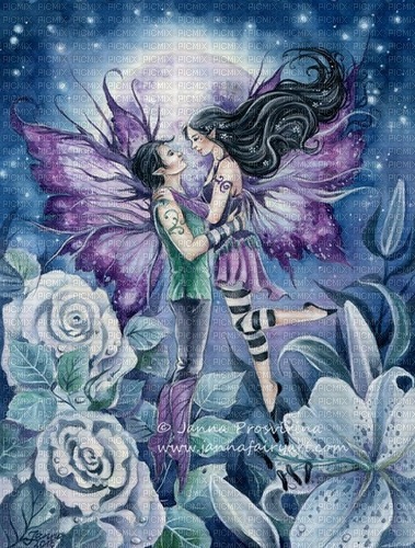 fairy couple - ücretsiz png