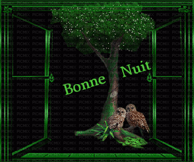 BONNE NUIT - GIF animado grátis