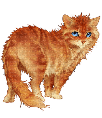red hair cat - zdarma png
