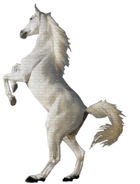 Kaz_Creations Horse - Free PNG